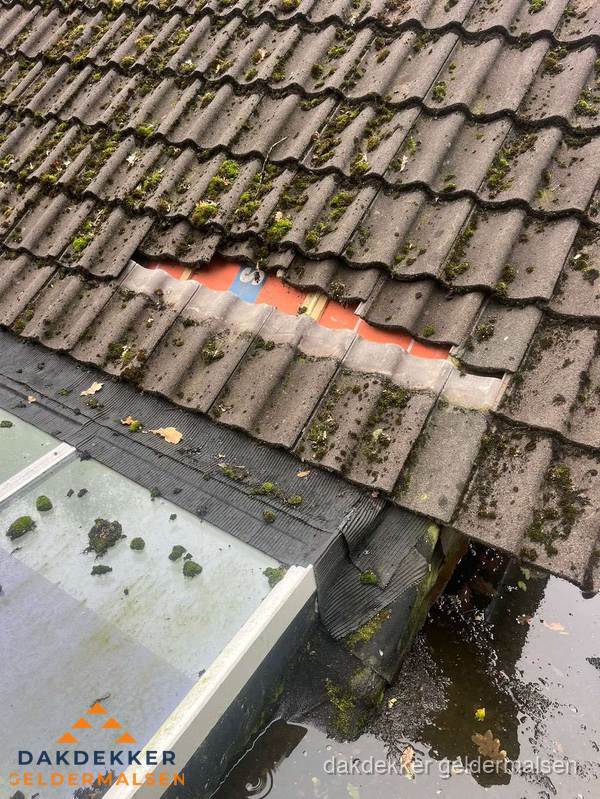 Beschadigd pannendak met ontbrekende dakpannen voor reparatie in Geldermalsen Beschadigd pannendak met ontbrekende dakpannen voor reparatie in Geldermalsen